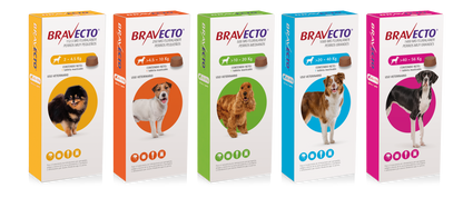 Bravecto Perros Pastillas AntiGarrapatas y Pulgas